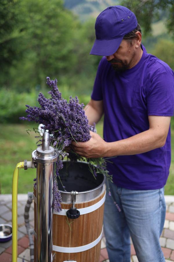Lavender Valley Perekrestnoye Extérieur photo