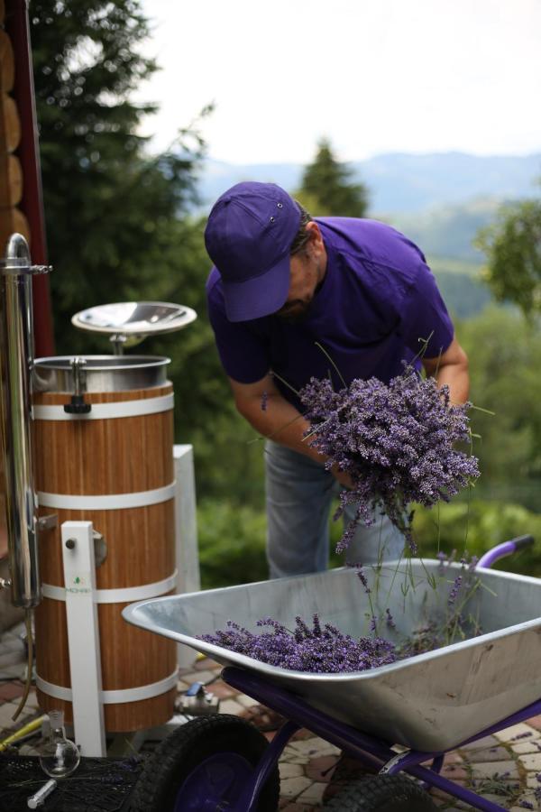 Lavender Valley Perekrestnoye Extérieur photo